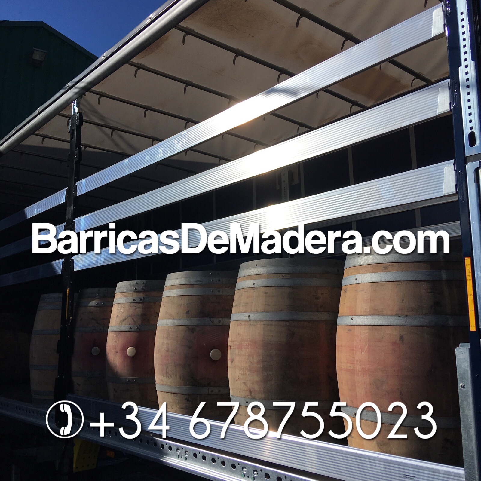 oak wine barrels for sale